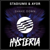Thumbnail for the StadiumX - Shake Down link, provided by host site