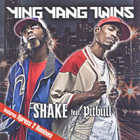 Thumbnail for the Pitbull - Shake link, provided by host site