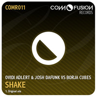 Thumbnail for the Josh DaFunk - Shake - Original Mix link, provided by host site
