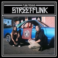 Thumbnail for the Funk Freaks - Shake Your Body link, provided by host site