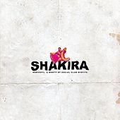 Thumbnail for the nobigdyl. - Shakira link, provided by host site