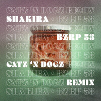 Thumbnail for the Catz 'n Dogz - Shakira - Bzrp 53 (Catz 'N Dogz Remix) link, provided by host site