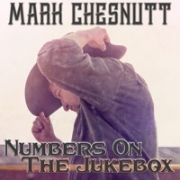 Thumbnail for the Mark Chesnutt - Shame link, provided by host site
