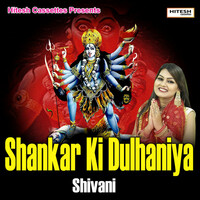 Thumbnail for the Shivani - Shankar Ki Dulhaniya link, provided by host site