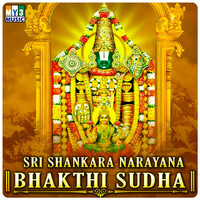 Thumbnail for the Srinivasa Murthy - Shankara Narayana link, provided by host site