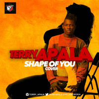 Thumbnail for the Terry Apala - Shape of You (Cover) link, provided by host site