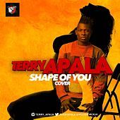 Thumbnail for the Terry Apala - Shape of You (Cover) link, provided by host site
