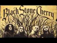 Thumbnail for the Black Stone Cherry - Shapes Of Things link, provided by host site