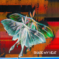 Thumbnail for the The Joy Formidable - Share My Heat link, provided by host site