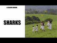 Thumbnail for the Tasman Keith - SHARKS link, provided by host site