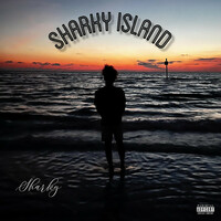 Image of Sharky linking to their artist page due to link from them being at the top of the main table on this page