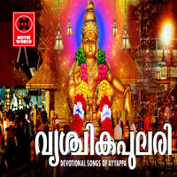 Thumbnail for the R. Madhavan - Shasthavin Thiru Sharanam link, provided by host site
