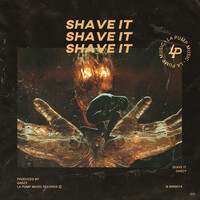 Thumbnail for the Gabzy - Shave It link, provided by host site