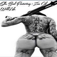 Thumbnail for the Papaz - She Bad link, provided by host site