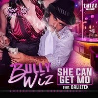 Thumbnail for the Bully Wiz - She Can Get Mo link, provided by host site