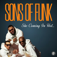 Thumbnail for the Sons Of Funk - She Coming In Hot... link, provided by host site