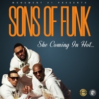 Thumbnail for the Sons Of Funk - She Coming in Hot... link, provided by host site
