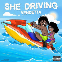 Thumbnail for the Vendetta - She Driving link, provided by host site