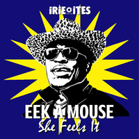 Thumbnail for the Eek-A-Mouse - She Feels It link, provided by host site