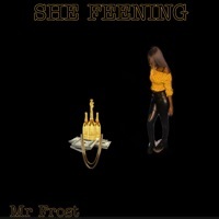 Thumbnail for the Mr.Frost - She Feening link, provided by host site