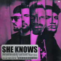 Thumbnail for the Dimitri Vegas & Like Mike - She Knows (with Akon) [3 Are Legend x MANDY Remix] link, provided by host site