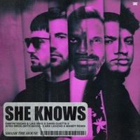 Thumbnail for the Dimitri Vegas - She Knows (with Akon) [3 Are Legend x Mandy Remix] link, provided by host site