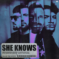 Thumbnail for the Dimitri Vegas & Like Mike - She Knows (with Akon) [Jaxx & Vega Remix] link, provided by host site