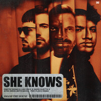 Thumbnail for the Dimitri Vegas & Like Mike - She Knows (with Akon) [Per Pleks Remix] link, provided by host site