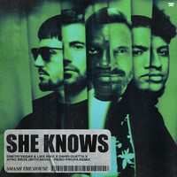Thumbnail for the Dimitri Vegas & Like Mike - She Knows (with Akon) [Piero Pirupa Remix] link, provided by host site