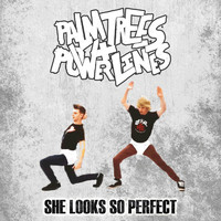 Thumbnail for the Palm Trees - She Looks so Perfect link, provided by host site