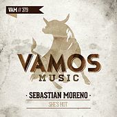 Thumbnail for the Sebastian Moreno - She's Hot link, provided by host site