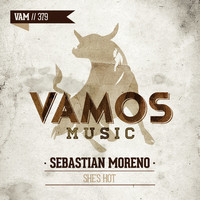 Thumbnail for the Sebastian Moreno - She's Hot link, provided by host site