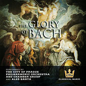 Thumbnail for the City of Prague Philharmonic - Sheep May Safely Graze BWV 208 link, provided by host site