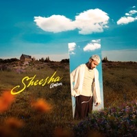 Thumbnail for the Amber Liu - Sheesha link, provided by host site