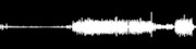 Thumbnail for the Mike Watt - Shelter link, provided by host site