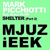 Thumbnail for the Mark Picchiotti - Shelter, Pt. 2 link, provided by host site