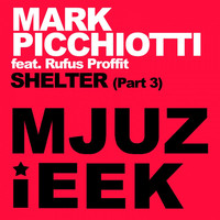 Thumbnail for the Mark Picchiotti - Shelter, Pt. 3 link, provided by host site