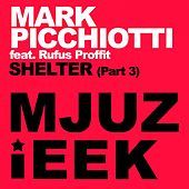 Thumbnail for the Mark Picchiotti - Shelter, Pt. 3 link, provided by host site