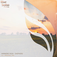 Thumbnail for the Harmonic Rush - Shepherd link, provided by host site