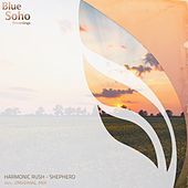 Thumbnail for the Harmonic Rush - Shepherd link, provided by host site