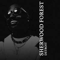 Thumbnail for the Big Sean - Sherwood Forest link, provided by host site