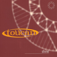 Thumbnail for the Toucan - Shine link, provided by host site