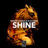 Thumbnail for the Dimitri Vangelis - Shine link, provided by host site