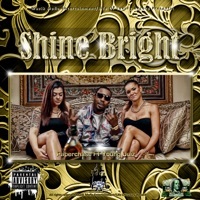 Thumbnail for the Paper Chase - Shine Bright [Remix] link, provided by host site