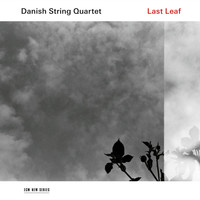 Thumbnail for the Rune Tonsgaard Sorensen - Shine You No More link, provided by host site