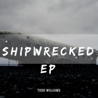 Image of Todd Williams linking to their artist page due to link from them being at the top of the main table on this page