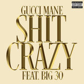 Thumbnail for the Gucci Mane - Shit Crazy link, provided by host site
