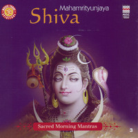 Thumbnail for the Pandit Jasraj - Shiv Dhyanam link, provided by host site