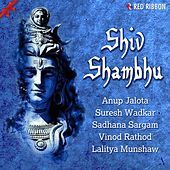 Thumbnail for the Arvinder Singh - Shiv Shiv Tu Karta link, provided by host site