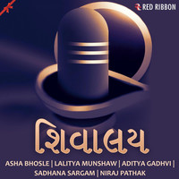 Thumbnail for the Shankar - Shiv Tandav Version 2 link, provided by host site